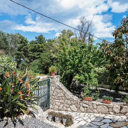 The Olive Grove By Konnect, Dasia *